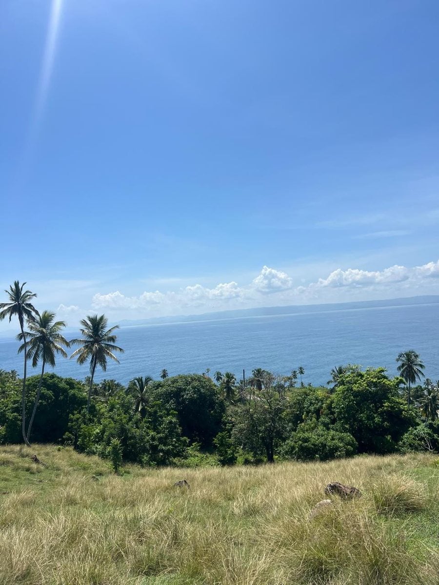Terreno en Carretera Samaná - Las Galeras – foto 2