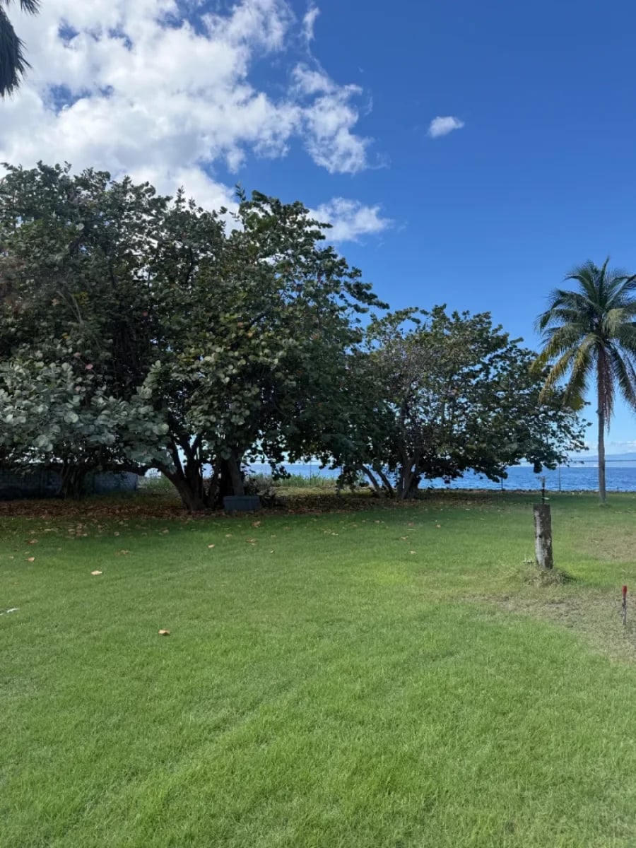 Proyecto de Terreno en Palmar de Ocoa – foto 5