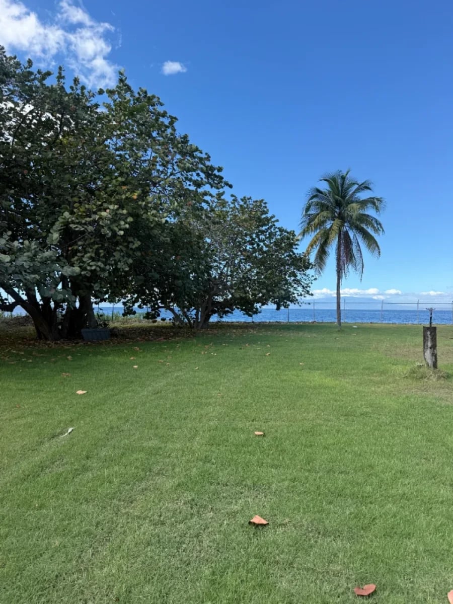 Proyecto de Terreno en Palmar de Ocoa – foto 2