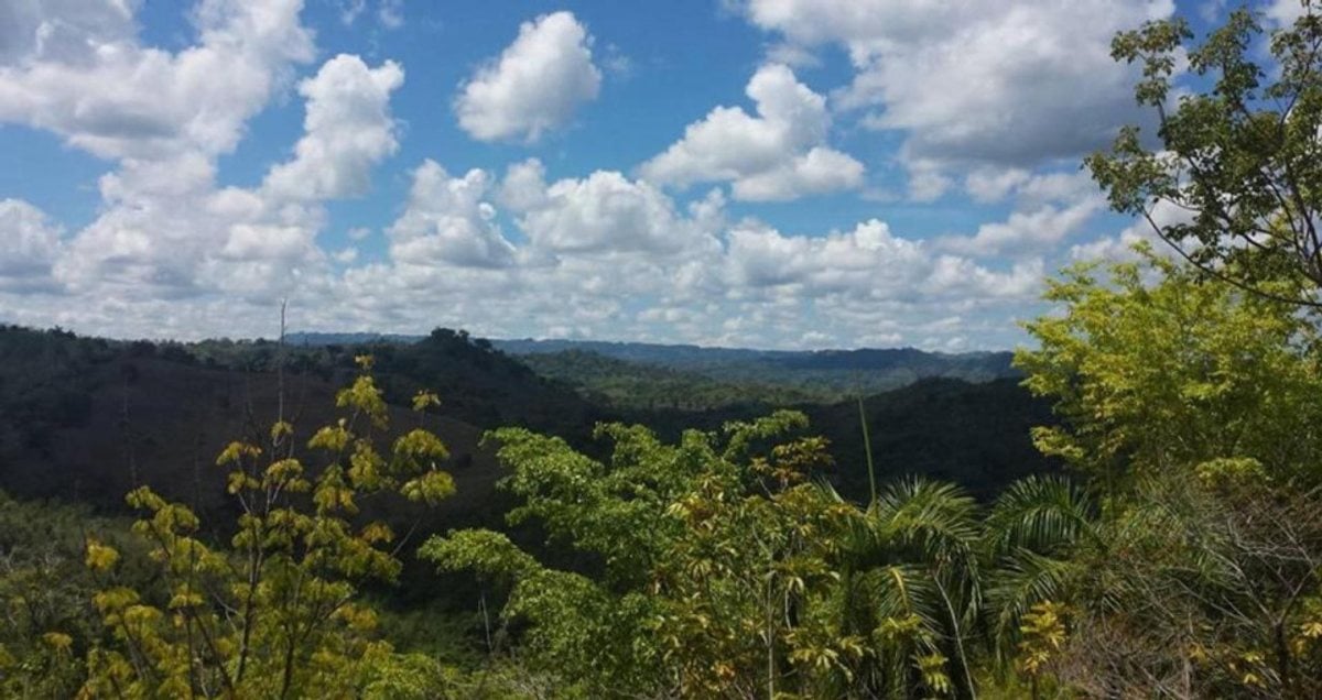 Terreno en Gaspar Hernández , La Ermita con vista al mar – foto 4