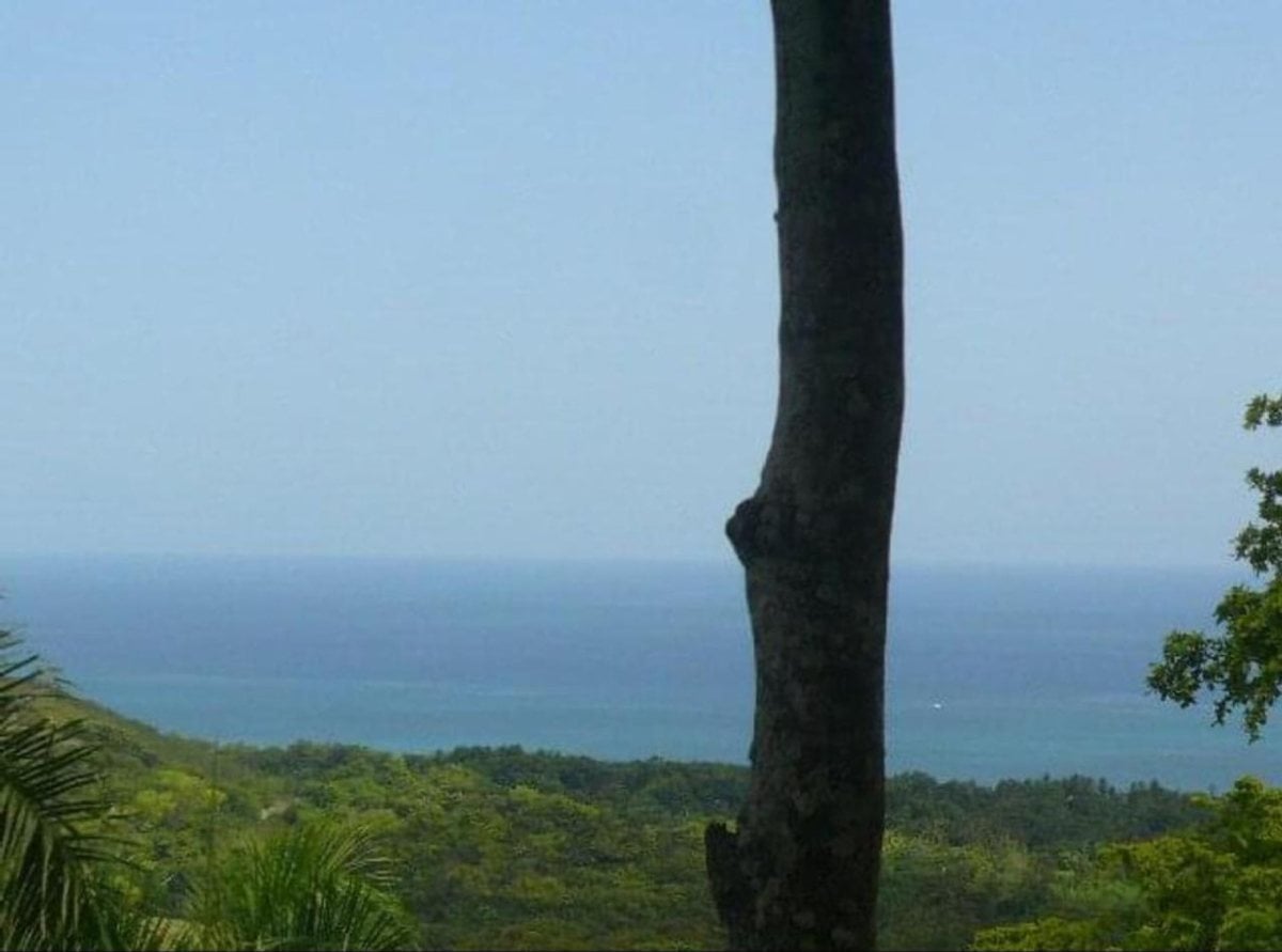 Terreno en Gaspar Hernández , La Ermita con vista al mar – foto 10