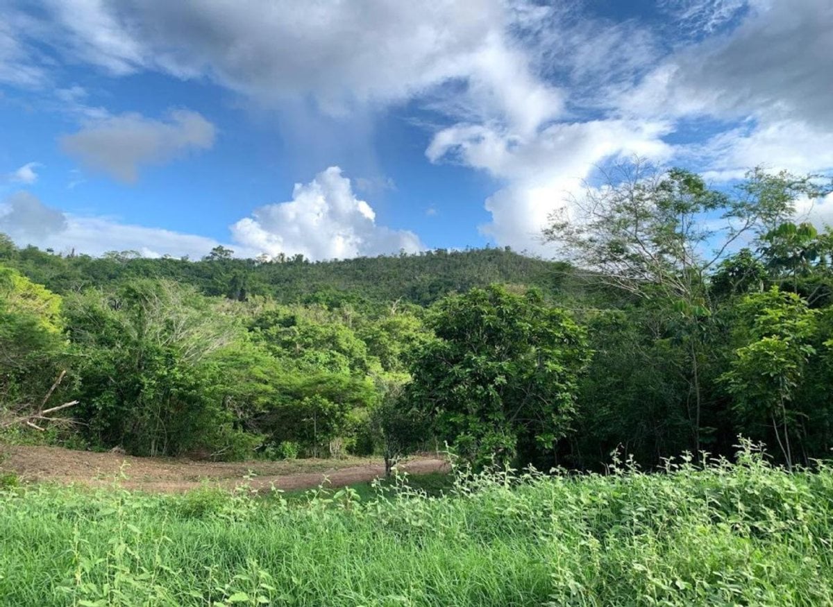 Terreno en Gaspar Hernández , La Ermita con vista al mar – foto 6