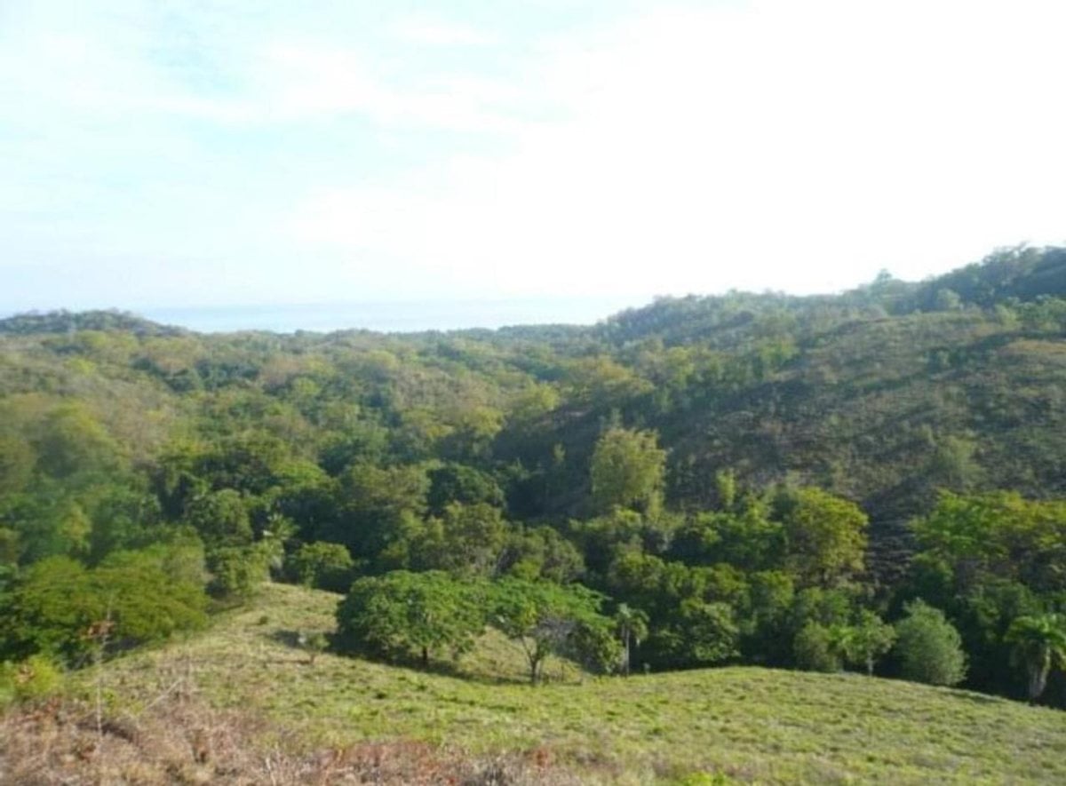 Terreno en Gaspar Hernández , La Ermita con vista al mar – foto 5