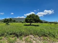 Terreno en venta, Azua, Palmar de Ocoa – foto 3