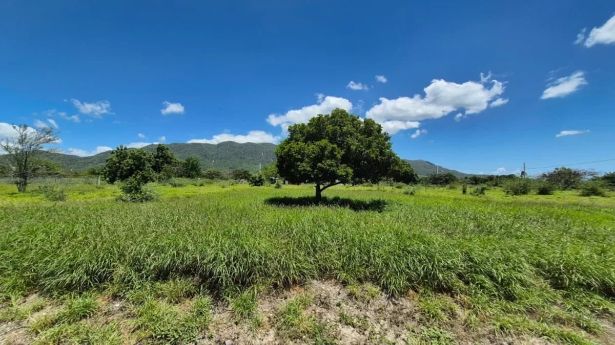 TERRENO EN VENTA, AZUA PALMAR DE OCOA – foto 3