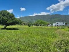 Terreno en venta, Azua, Palmar de Ocoa – foto 2