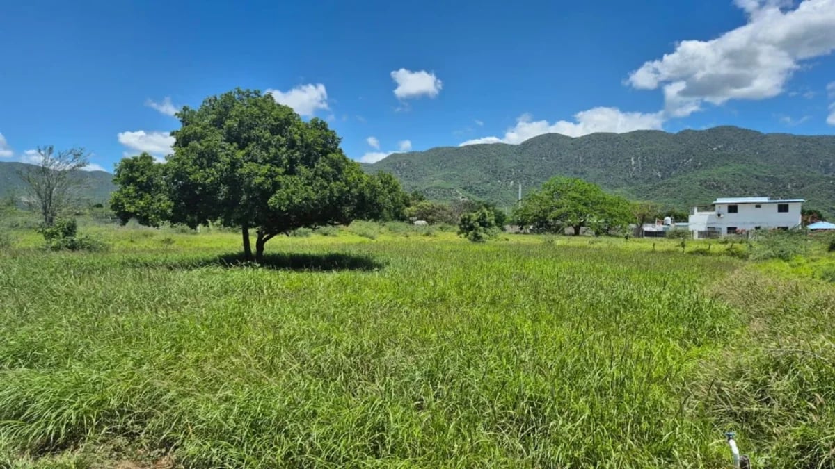 TERRENO EN VENTA, AZUA PALMAR DE OCOA – foto 2