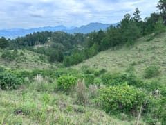 Terreno en venta en LOS Magueyes, Constanza – foto 11