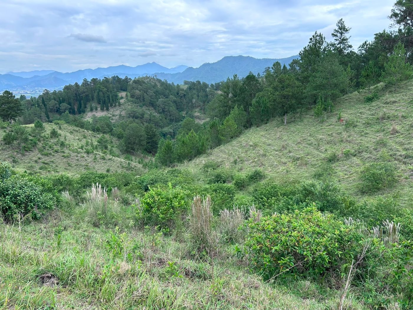 TERRENO EN VENTA en LOS MAGUEYES, CONSTANZA – foto 11