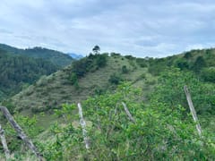 Terreno en venta en LOS Magueyes, Constanza – foto 2