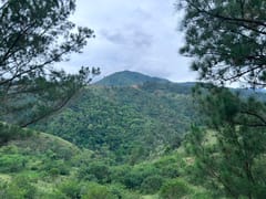 Terreno en venta en LOS Magueyes, Constanza – foto 6