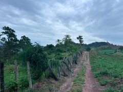 Terreno en venta en LOS Magueyes, Constanza – foto 3