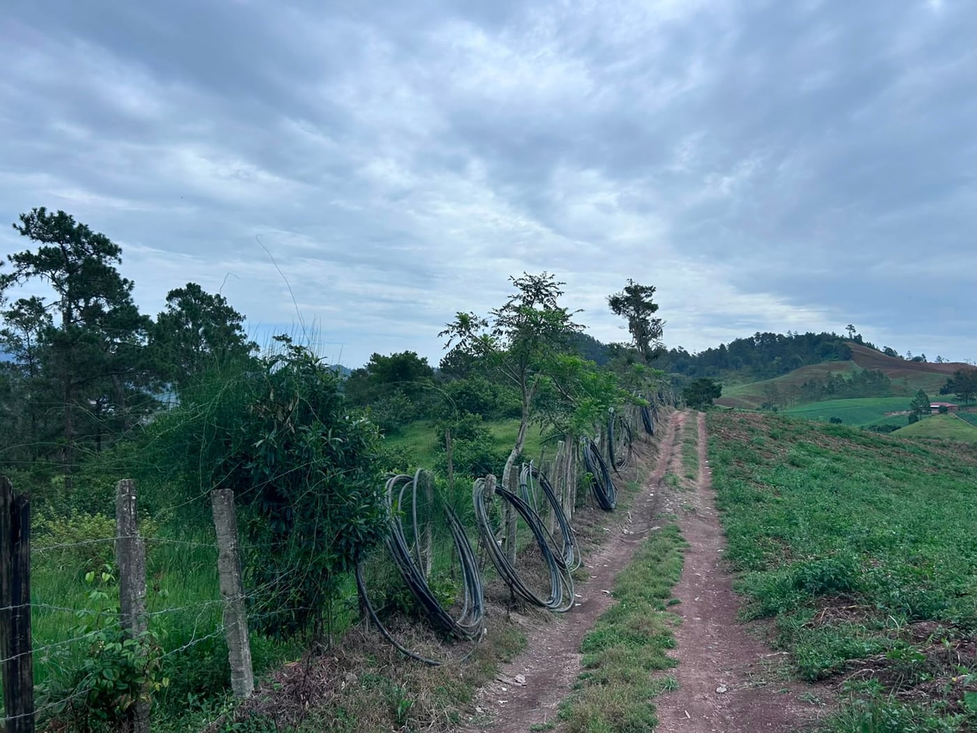 TERRENO EN VENTA en LOS MAGUEYES, CONSTANZA – foto 3
