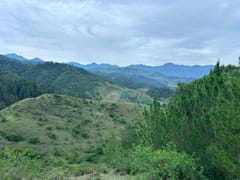 Terreno en venta en LOS Magueyes, Constanza – foto 7