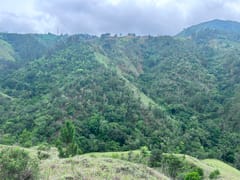 Terreno en venta en LOS Magueyes, Constanza – foto 9