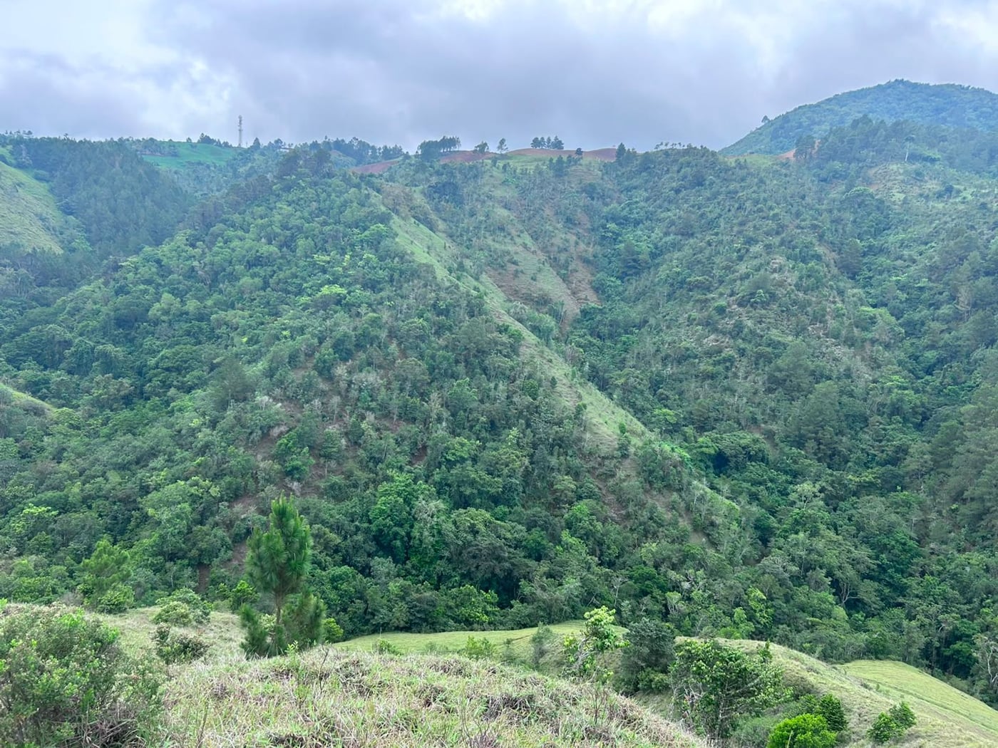 TERRENO EN VENTA en LOS MAGUEYES, CONSTANZA – foto 9