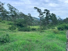 Terreno en venta en LOS Magueyes, Constanza – foto 1