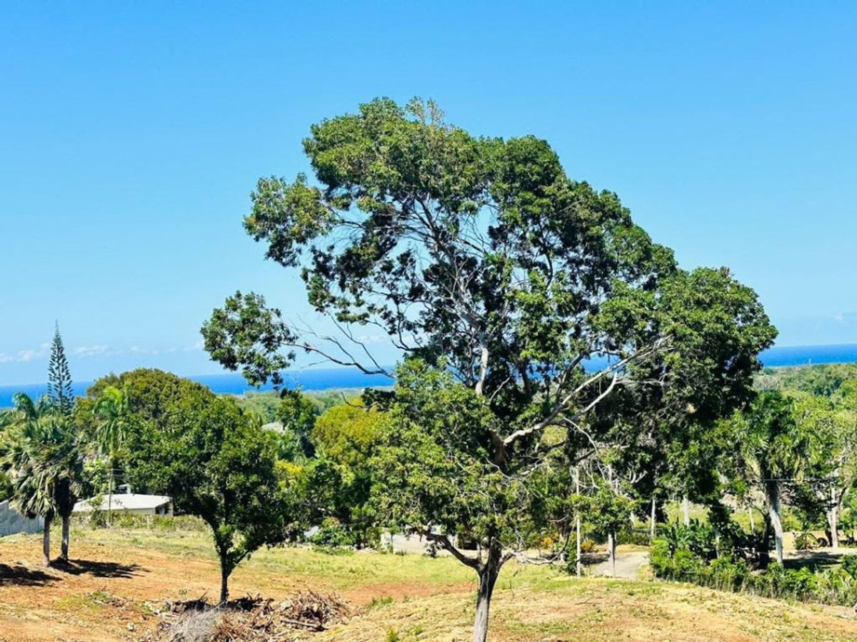 Terreno en la Mulata II, Sosúa – foto 3