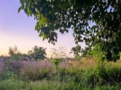 Terreno en alquiler en Boca Chica, Andrés Centro – foto 1