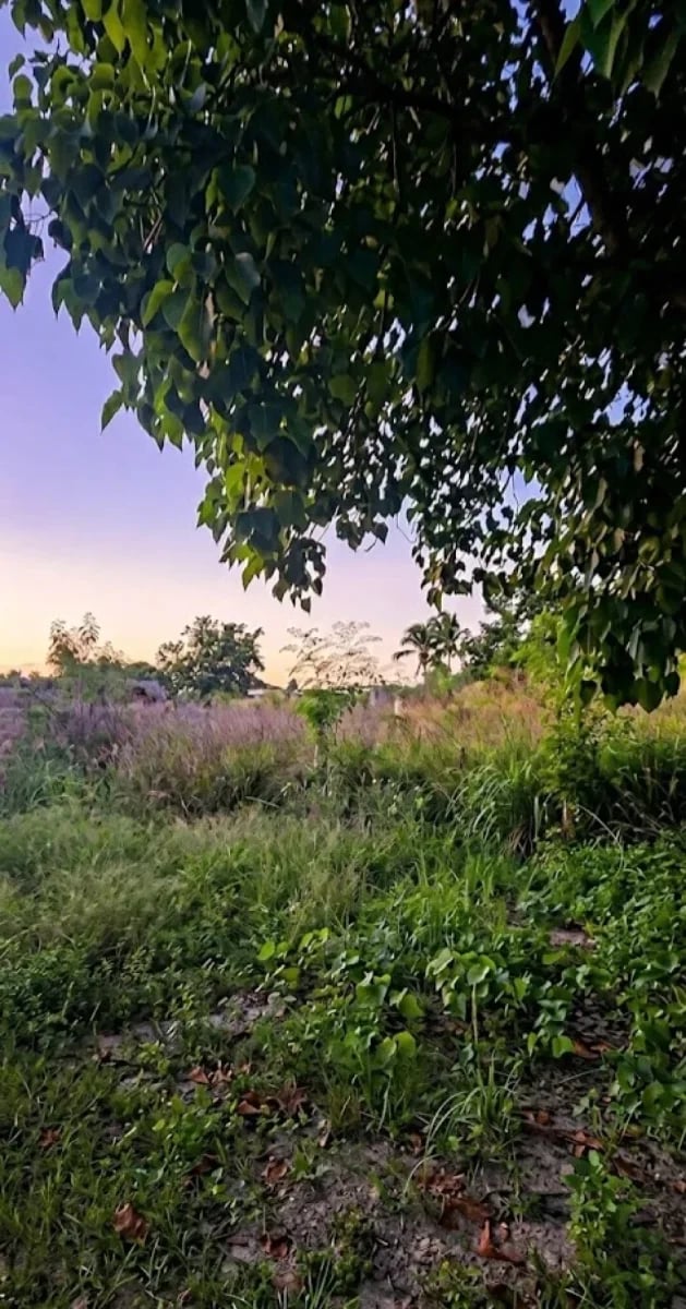 Terreno en Boca Chica, Andrés Centro – foto 1