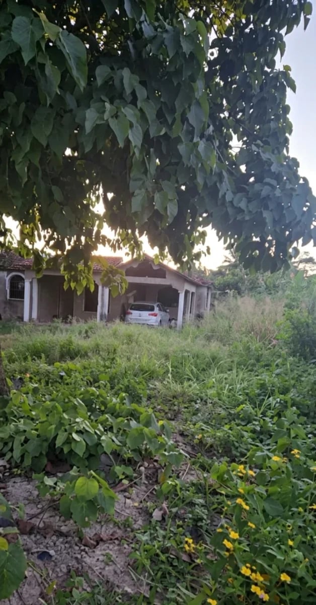 Terreno en Boca Chica, Andrés Centro – foto 2