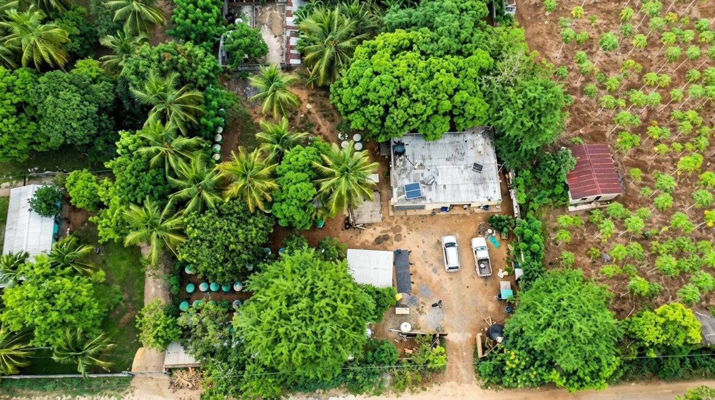 Terreno en venta / Higuero – foto 2