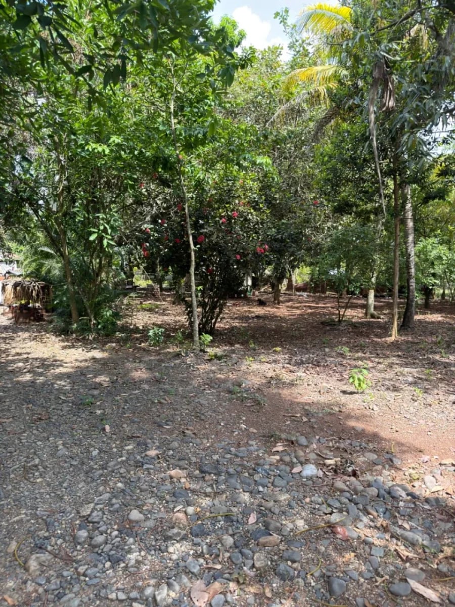 Terreno en venta 11,018.01 m² | Santo Domingo Norte – foto 5