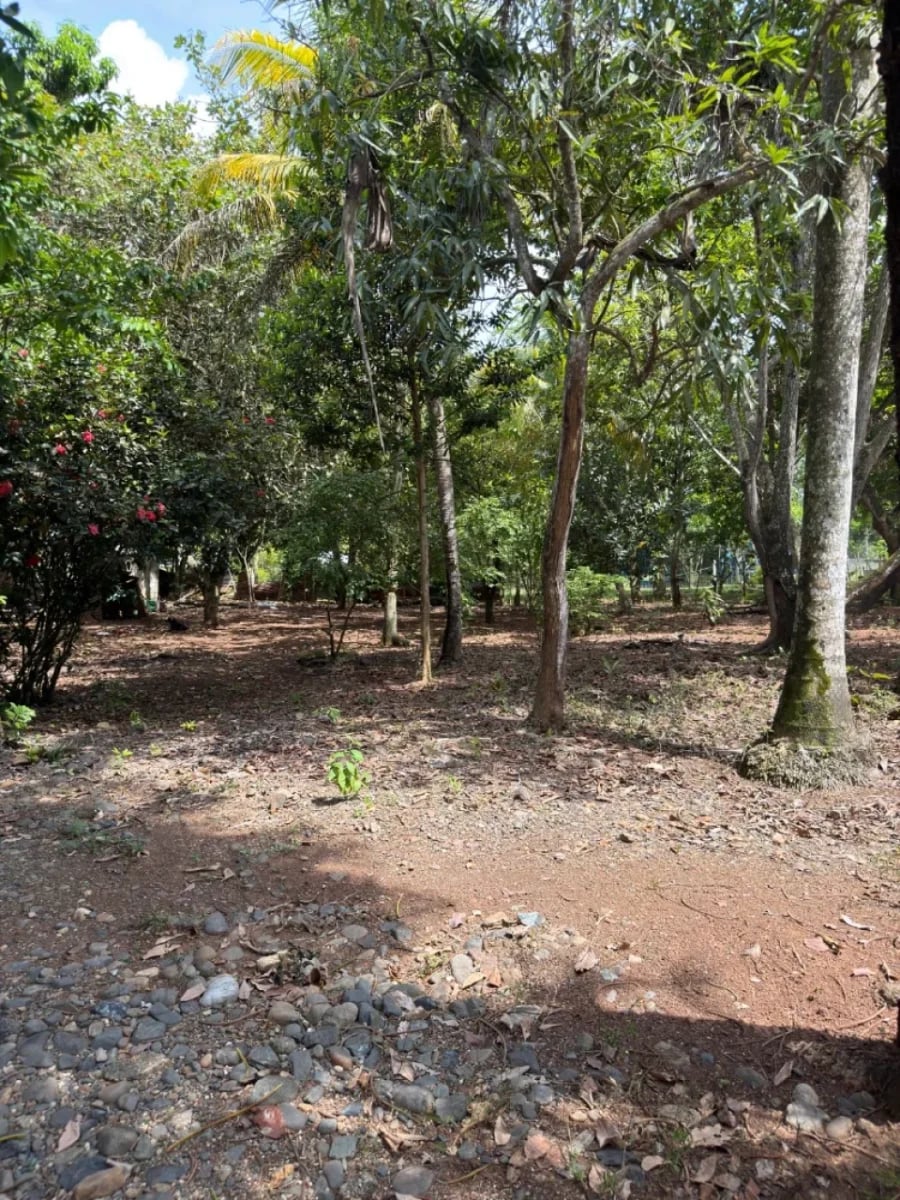 Terreno en venta 11,018.01 m² | Santo Domingo Norte – foto 1