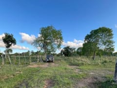 Terreno en venta en Higüey, Los Palitos – foto 4