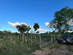 Terreno en venta en Higüey, Los Palitos – foto 3