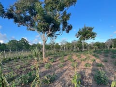 Terreno en venta en Higüey, Los Palitos – foto 6