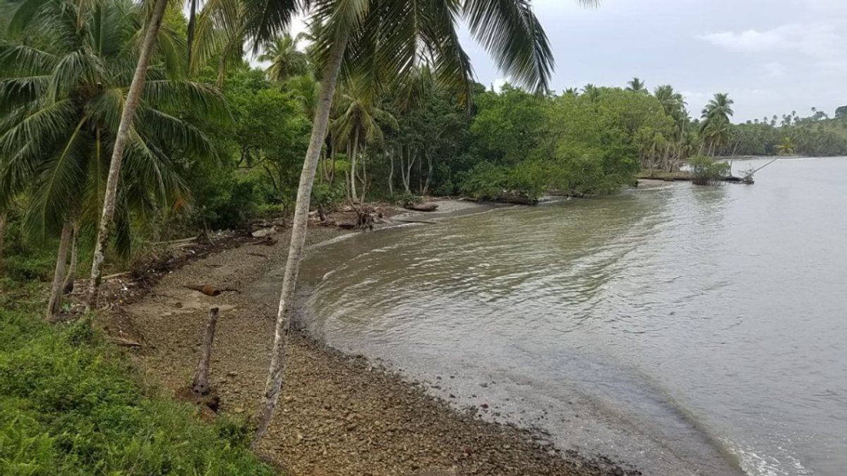 Terreno en Sabana de la Mar, Sector Capitán – foto 3