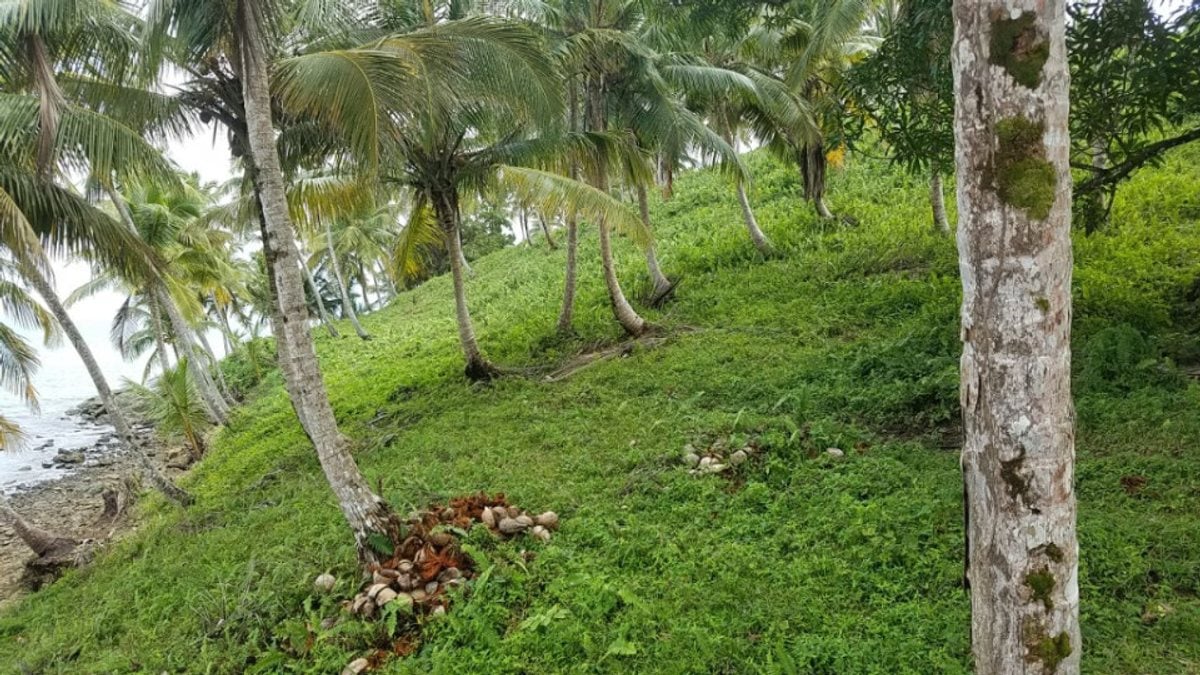 Terreno en Sabana de la Mar, Sector Capitán – foto 4