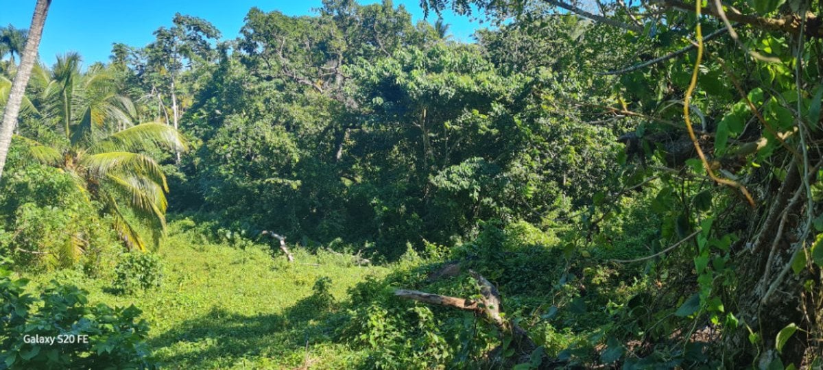 Terreno en Sabana de la Mar, Sector Capitán – foto 7