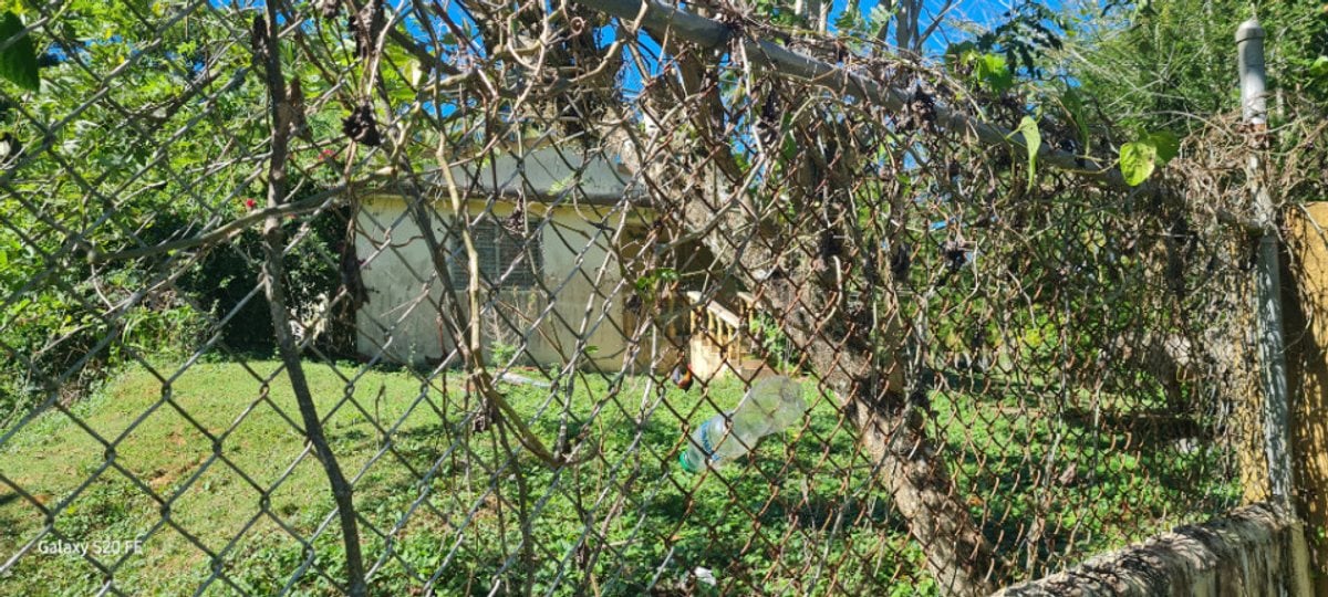 Terreno en Sabana de la Mar, Sector Capitán – foto 9