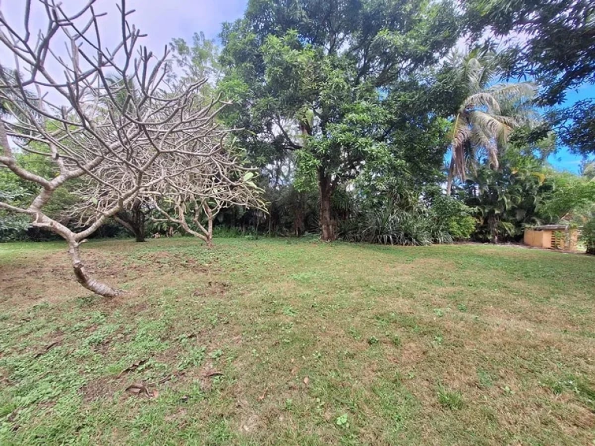 Terreno para Venta y Alquiler en Km 22 Aut. Duarte – foto 2