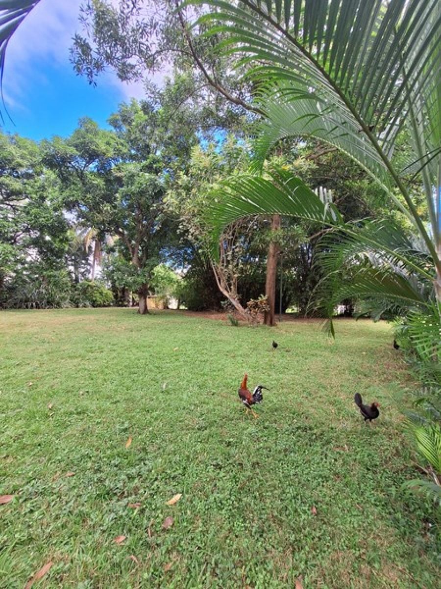 Terreno para Venta y Alquiler en Km 22 Aut. Duarte – foto 6