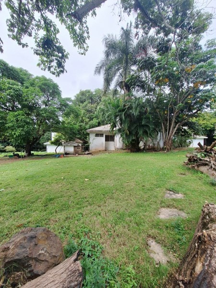 Terreno para Venta y Alquiler en Km 22 Aut. Duarte – foto 5