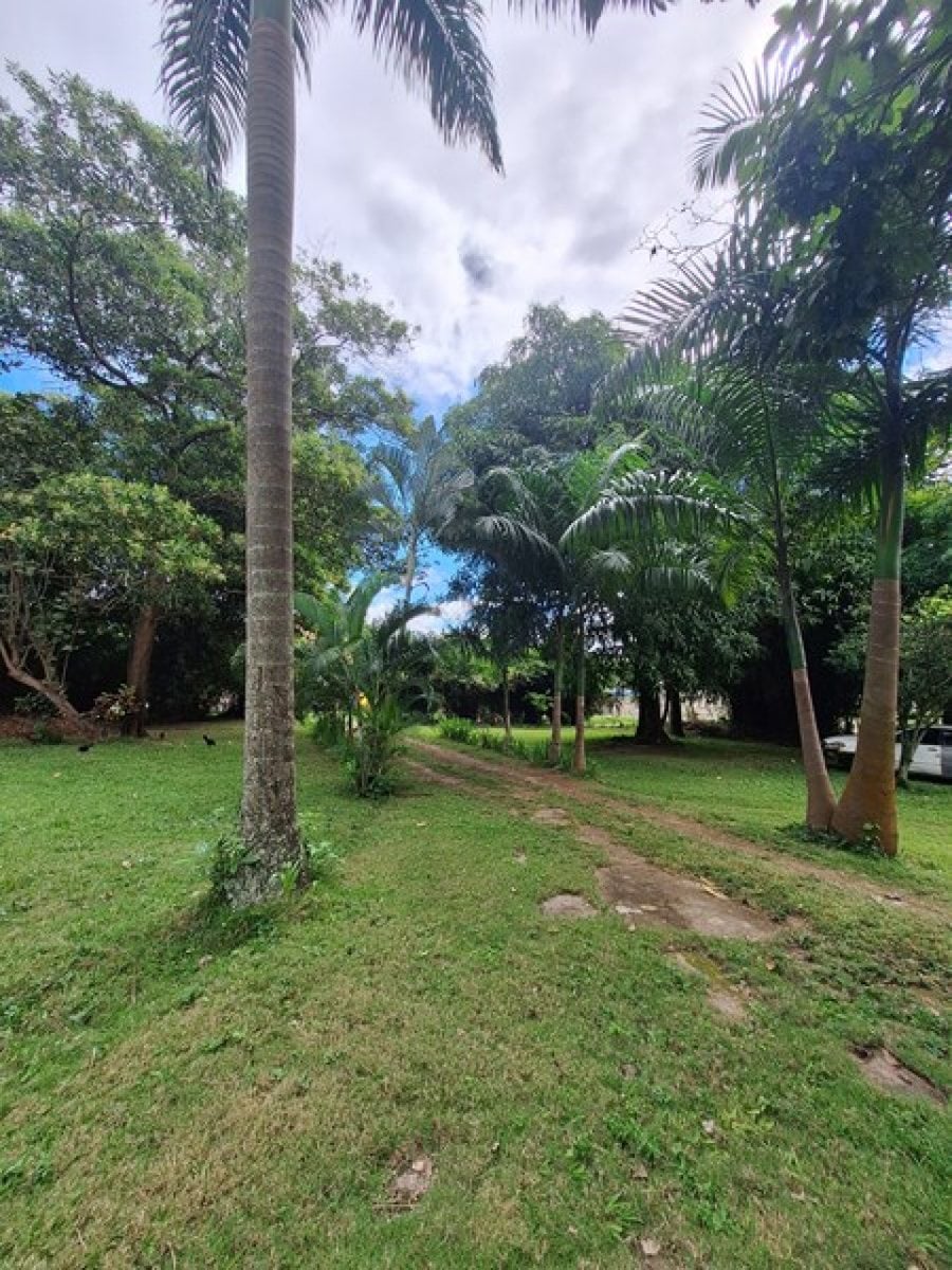 Terreno para Venta y Alquiler en Km 22 Aut. Duarte – foto 4