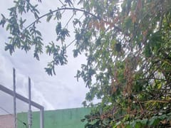 Casa en venta en Villa Consuelo – foto 1