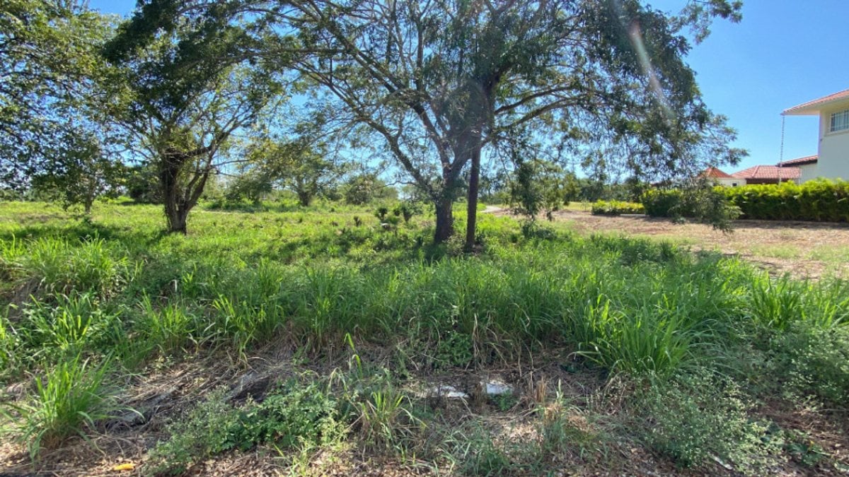 Terreno en Guavaberry, San Pedro de Macorís – foto 3