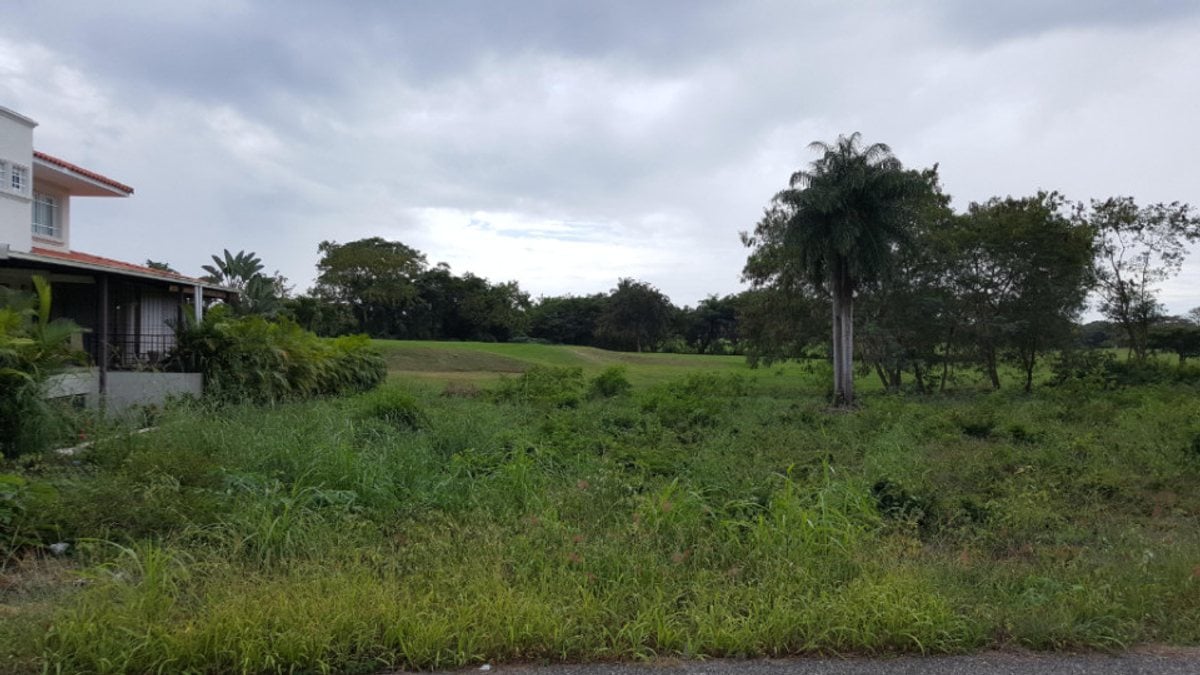 Terreno en Guavaberry, San Pedro de Macorís – foto 4
