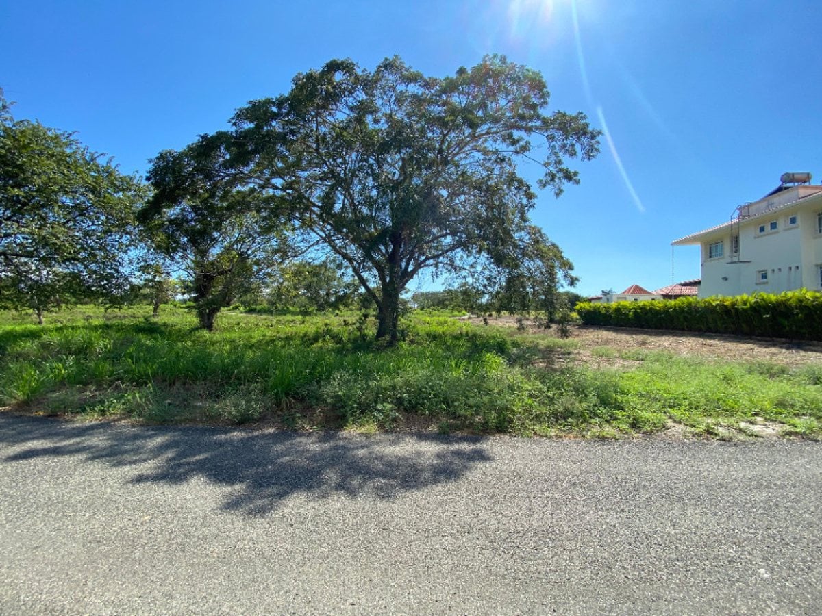 Terreno en Guavaberry, San Pedro de Macorís – foto 1
