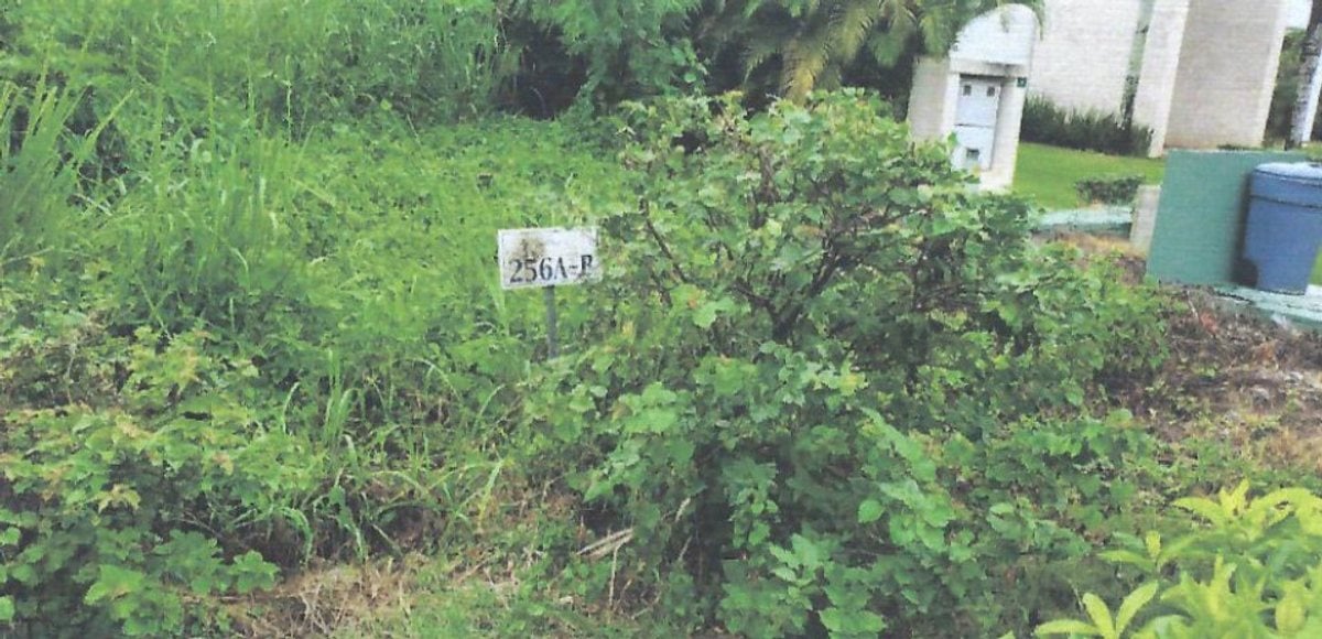 Terreno en Playa Nueva Romana, 882 m² – foto 2