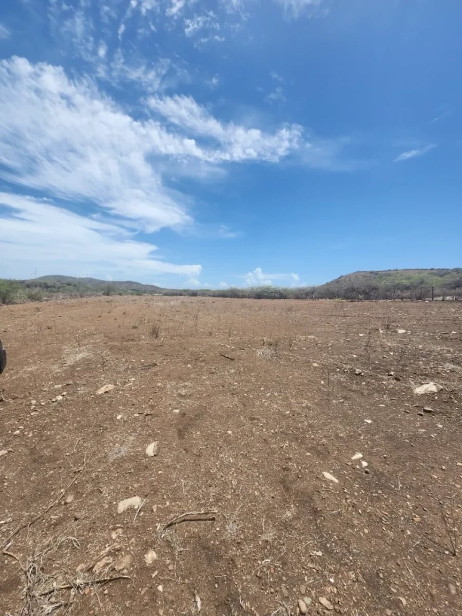OPORTUNIDAD DE TERRENO EN VENTA SABANA BUEY,BANI – foto 3