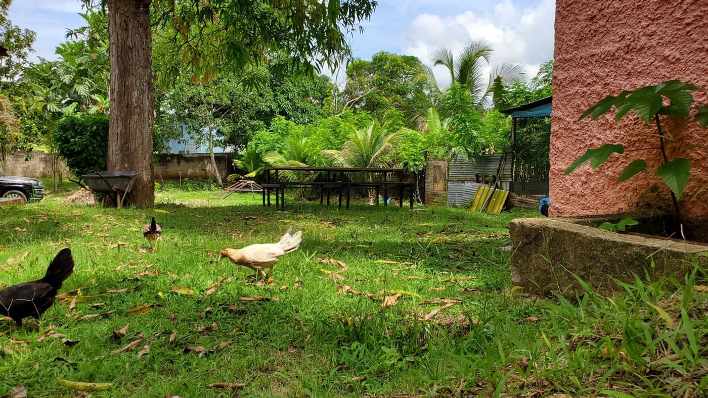 villa campestre en La Victoria, Santo Domingo Nort – foto 5