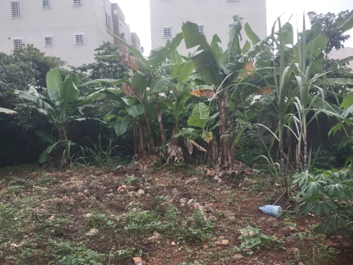 Terreno en Venta en Regina, Santo Domingo Este – foto 2