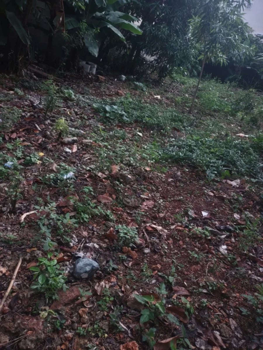 Terreno en Venta en Regina, Santo Domingo Este – foto 3