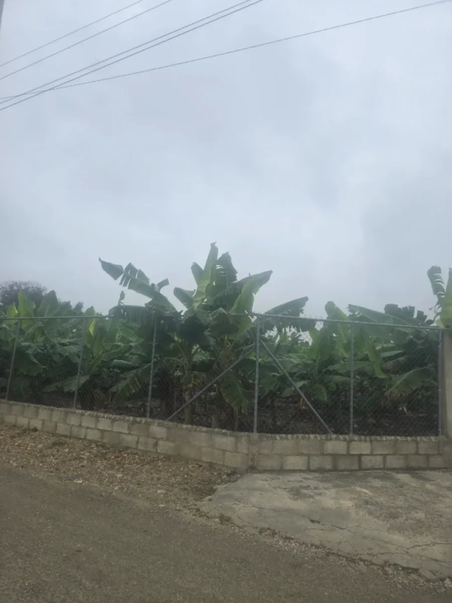 Terreno en venta en Licey al Medio – foto 1