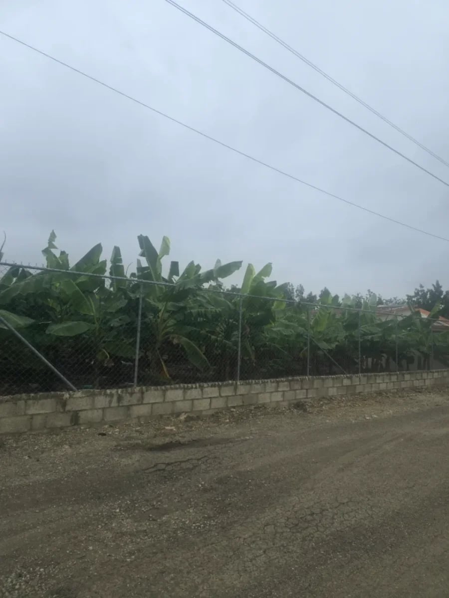 Terreno en venta en Licey al Medio – foto 2